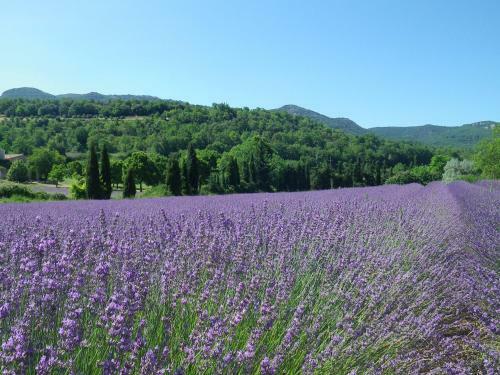 Bed & Breakfast La Mordor�e