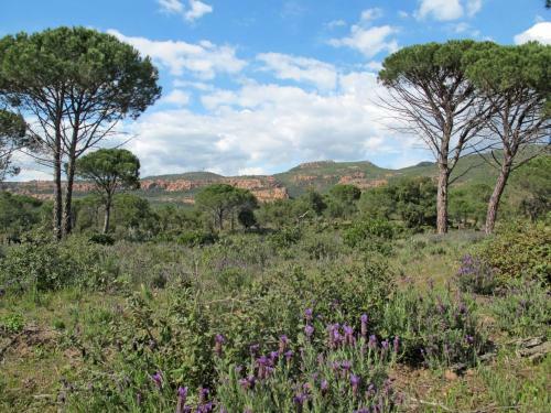 Holiday Home Le Clos D'azur 1 - Lmo138