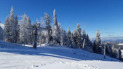 Chalet Les Epilobes