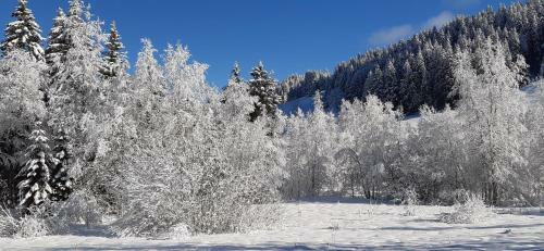 Chalet Les Epilobes
