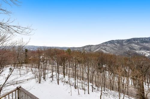 Blue Ridge Vista