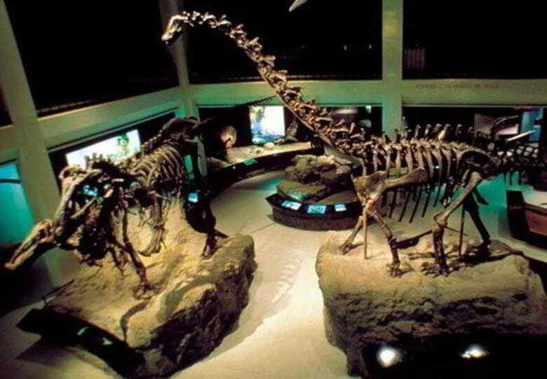 Hotel Residence Inn Houston Northwest / Willowbrook