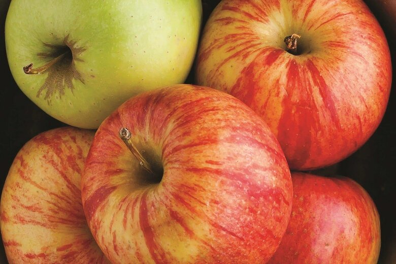 Hotel La Quinta Inn & Suites Houston Clay Road