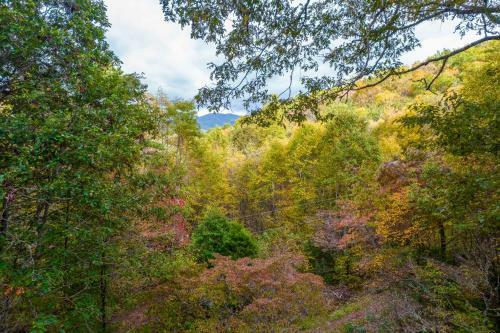 Mountain Top Tranquility