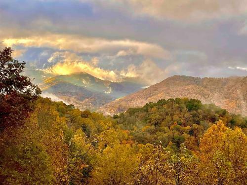 Amazing View Sylva Nc