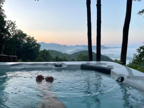 Amazing View Sylva Nc
