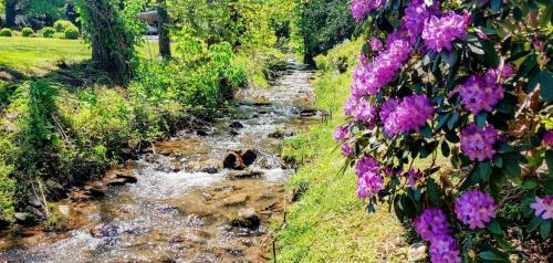 On The Creek And Close To Everything