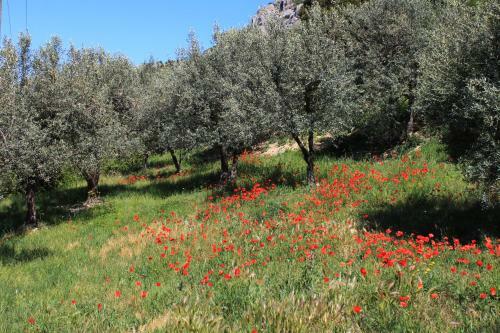 Agroturismo Les Grands Pr�s Des Baronnies