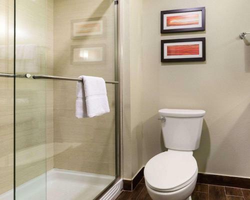 Hotel Comfort Suites Westbelt