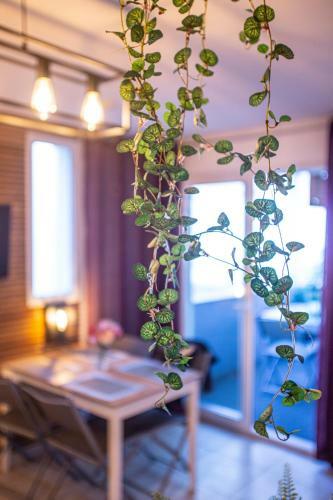 Apartamento Superbe Appartement -- Terrasses -- Clim -- Parking