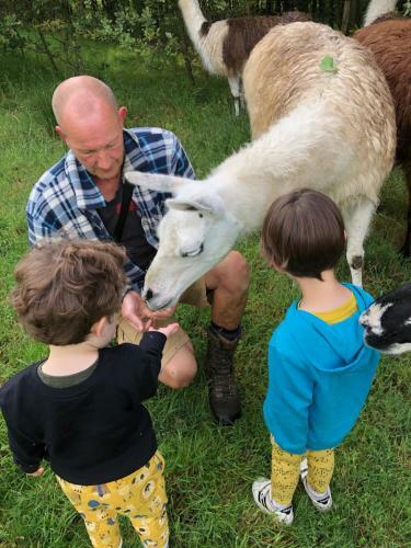 Agroturismo Loire Valley Llama Farm Stay