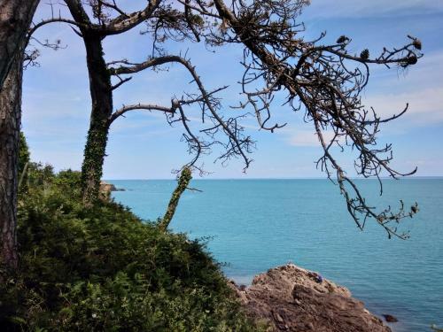 Bed & Breakfast Chambre D'hotes C�t� Rance