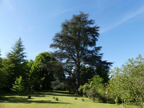 Le Petit Chateau - Adults Only Property