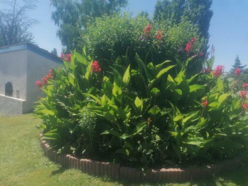 Bed & Breakfast La Belle �poque