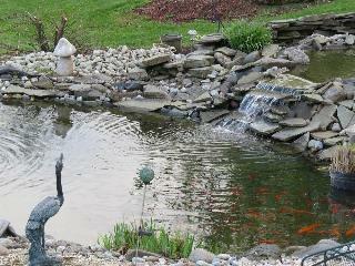 Berry Patch Bed And Breakfast