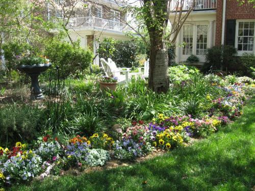 Pettigru Place Bed & Breakfast