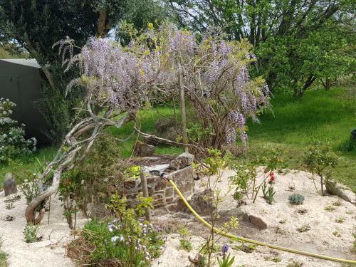 Bed & Breakfast La Minoterie - Chambre D'h�tes Et Studio Avec Kitchenette