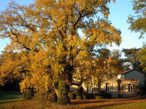 Domaine Des Roches Blanches - Site Class�