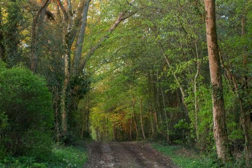 Domaine Des Roches Blanches - Site Class�