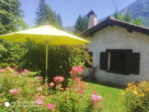 La Tani�re Du Lac D Aiguebelette