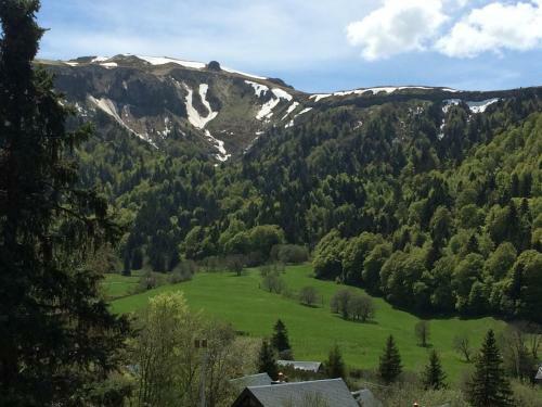 Chalet Le Balcon Du Sancy