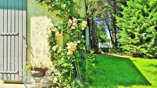 Bed & Breakfast Les Tr�sors de Malle Mialle