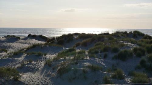 Apartamento Beau Cosy En Front de Mer