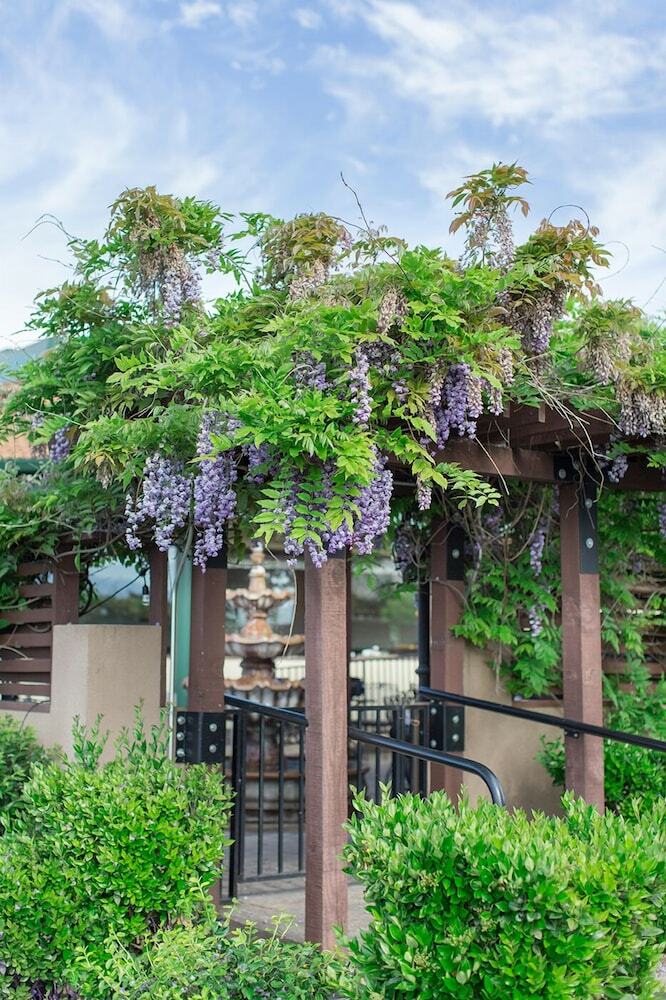 Hotel Rogue Regency Inn & Suites
