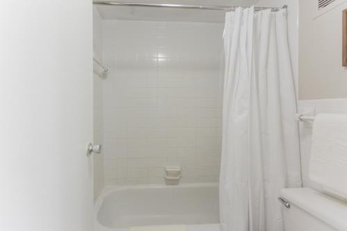 Apartamento Downtown Memphis Studio - Walk Score 85 With Balcony