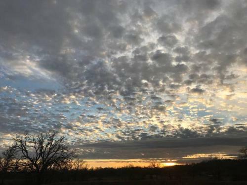 Texas Ranch 26 Acre Country Fishing Cabin