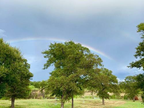Texas Ranch 26 Acre Country Fishing Cabin