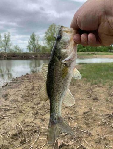 Texas Ranch 26 Acre Country Fishing Cabin