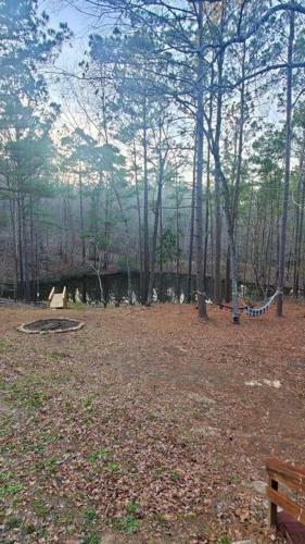 Lost Paradise Is Your Private Cabin In The Forest