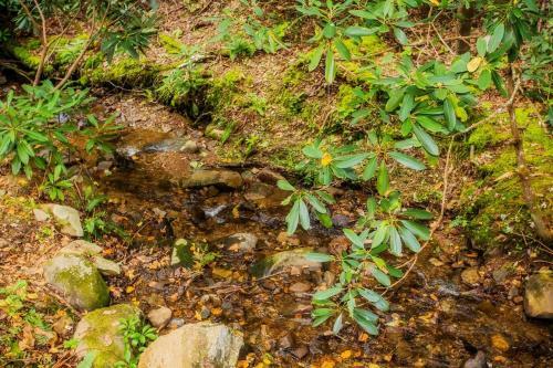 Laurel Creek Hideaway