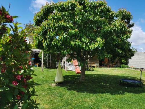 Petit Havre De Tranquillit�