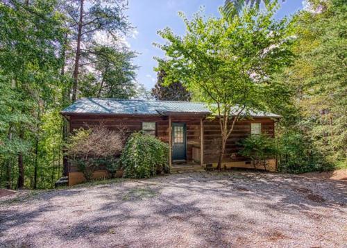 Magnolia Bearadise #311 By Aunt Bug's Cabin Rentals