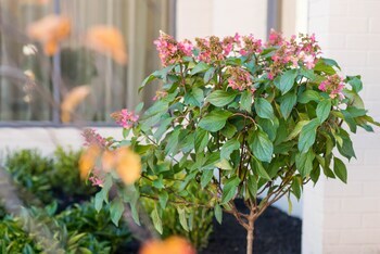 Hotel Holiday Inn East Windsor