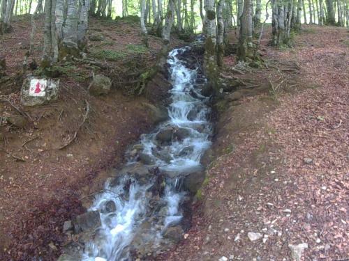 Apartamento Studio Ceris�ma Pyr�n�es Z�nith