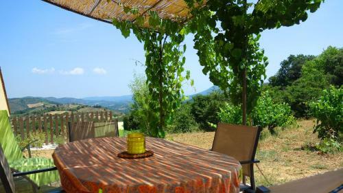 G�te Vigneron Du Domaine D'alon