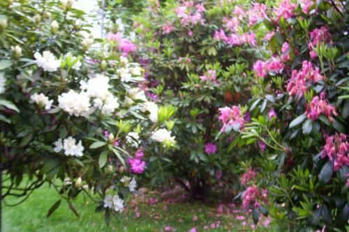 Arbor View House Bed And Breakfast