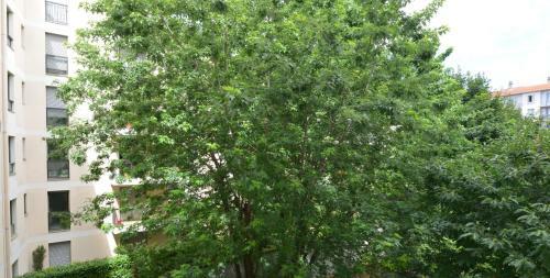 Apartamento Appart'maximin