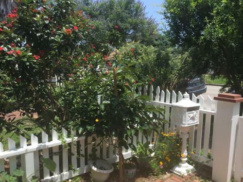 Apartamento 1118 Postoffice Street