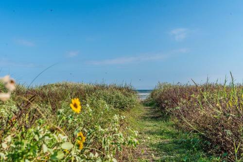 Hostal Cast A Waves - Great Beach Bungalow - Close To The Gulf