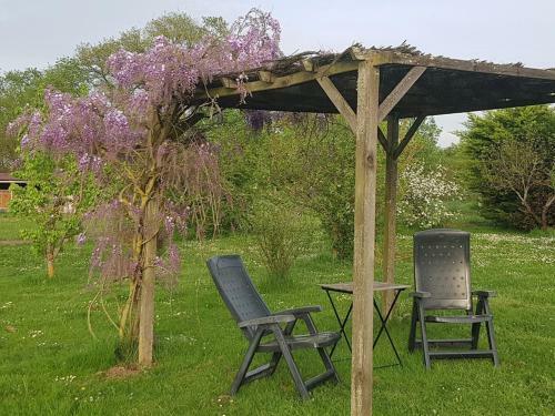 Bed & Breakfast Mas de La Pini�re
