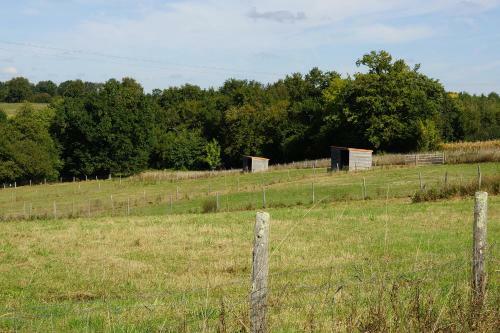Bed & Breakfast Mas de La Pini�re