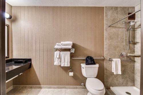Hotel Holiday Inn Riverside Minot