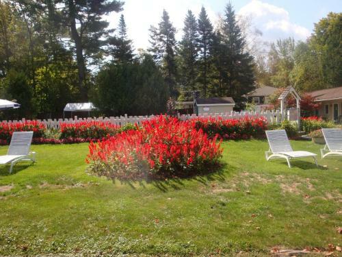 Motel Maple Leaf Inn Lake Placid