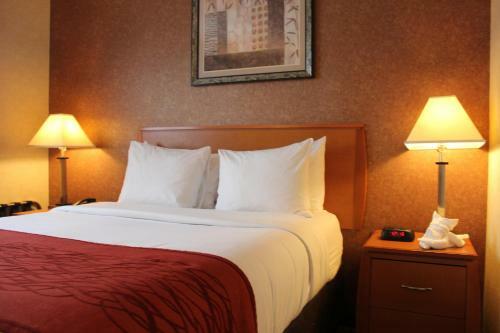 Hotel Comfort Inn Bellerose Queens