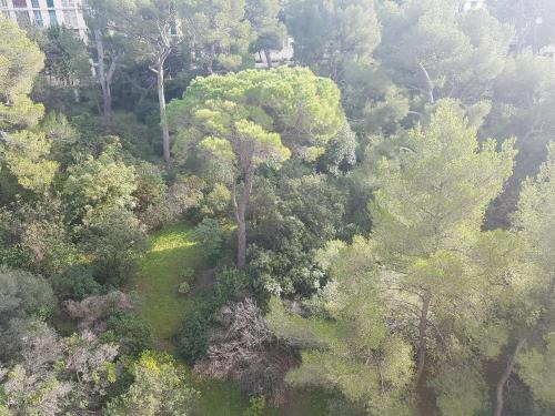 Apartamento Mer D'elen