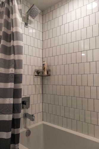 Urban Downtown Apartment